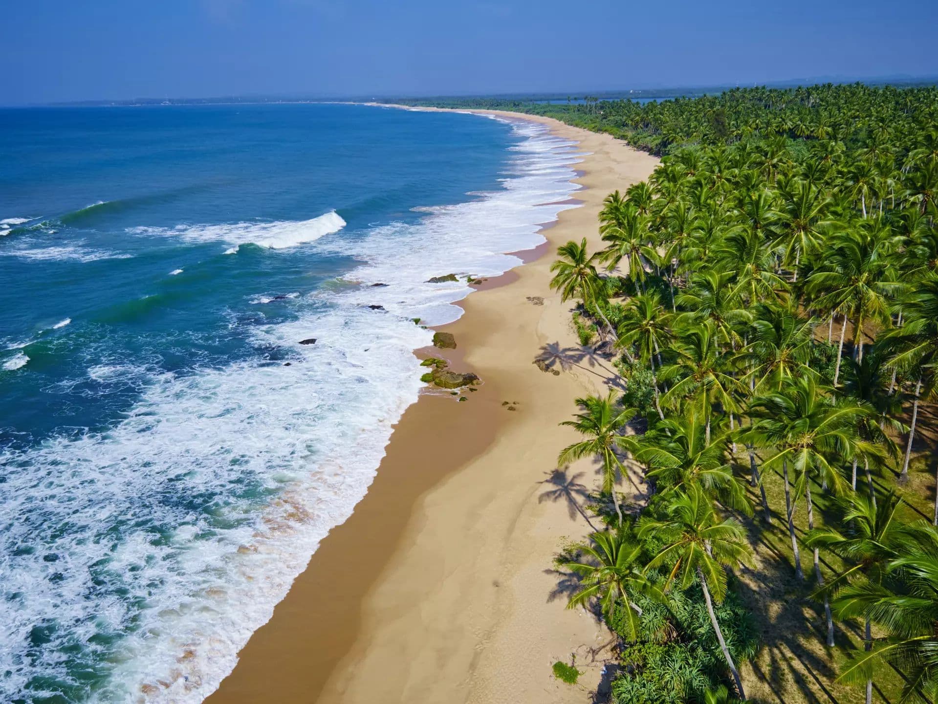 Sri Lanka Boogie 2026 gallery