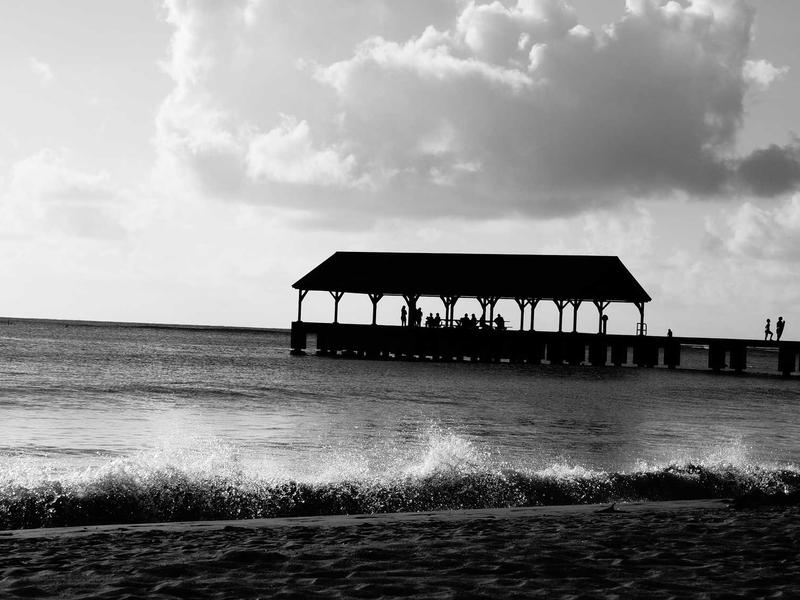 Sinharaja Rain Forest Trail